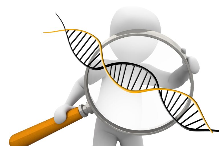 deoxyribonucleic-acid-g0314731d2_1920